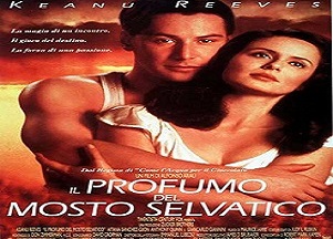 film il profumo del mosto selvatico