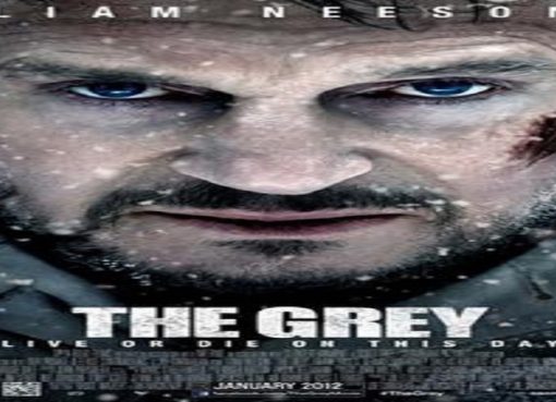 film the grey