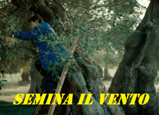 semina il vento